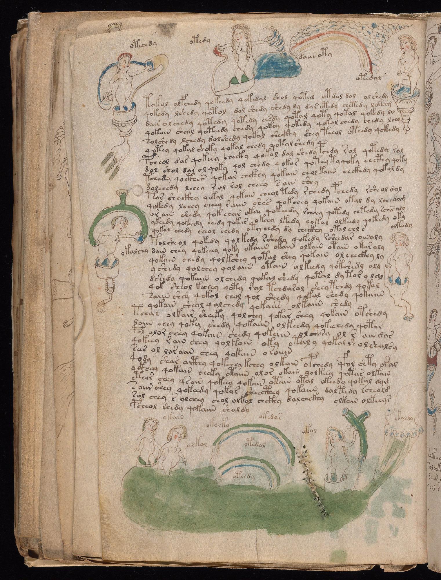 Voynich Manuscript folio f82v — Beinecke MS 408